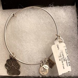 Alex and Ani bracelet
